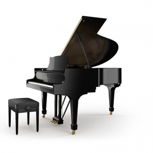 steinway A 188 piatino pianoforti a coda torino