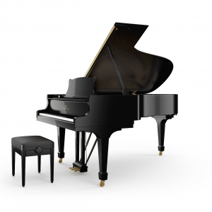 steinway B-211 piatino pianoforti a coda torino