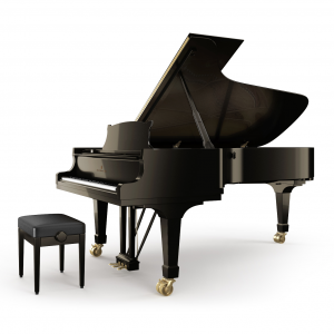 steinway C227 piatino pianoforti a coda torino