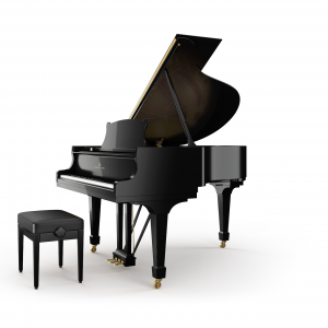 steinway M170 pianoforti a coda torino piatino