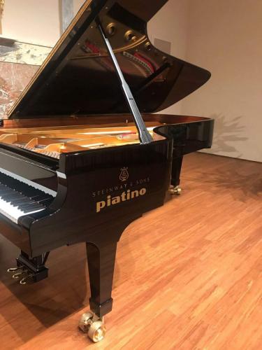 piatino pianoforti torino