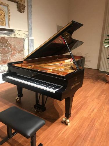 piatino pianoforti torino