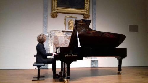 piatino pianoforti torino