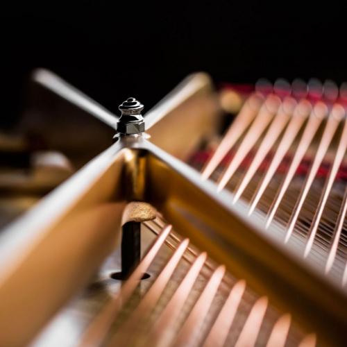 steinway e sons spirio Piatino pianoforti Torino