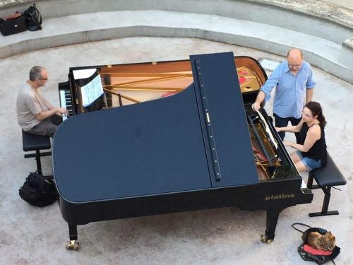 Meteore - Giardino della Fondazione Merzpiatino pianoforti torino